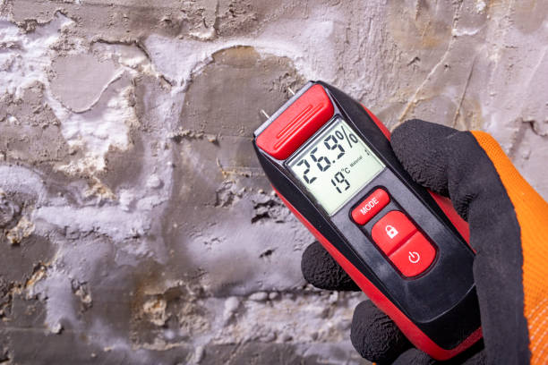 Best Residential Mold Removal  in Martinsvle, IL