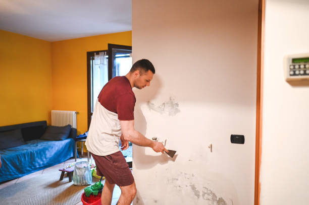 Professional Mold Removal in Martinsville, IL